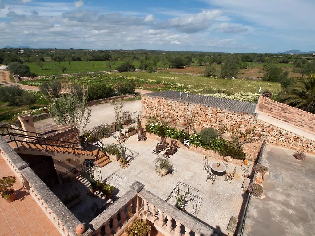 Agroturismo S Hort De Can Carrio Ag226 塞萨利内斯 3*,